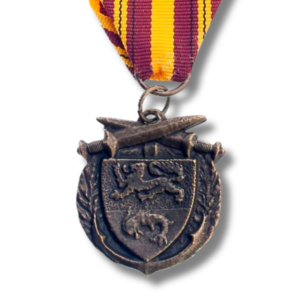 WW2 Hero Dunkirk Medal