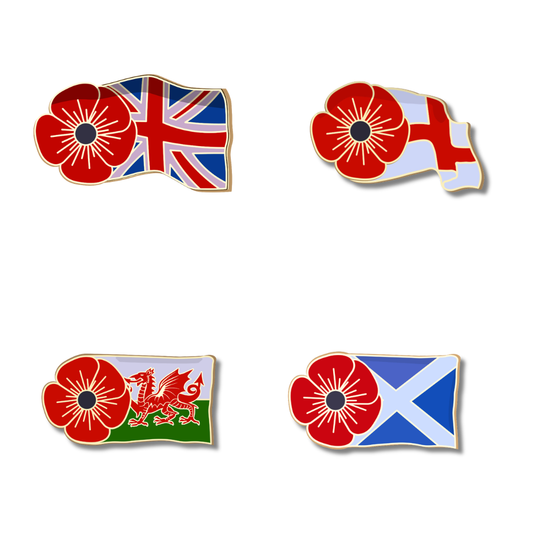 Collectors Flag Pin Bundle