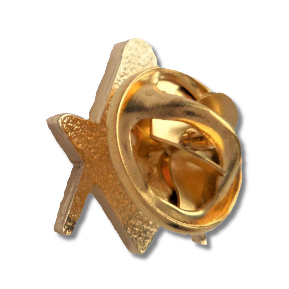 Masonic Forget Me Not Pin Badge