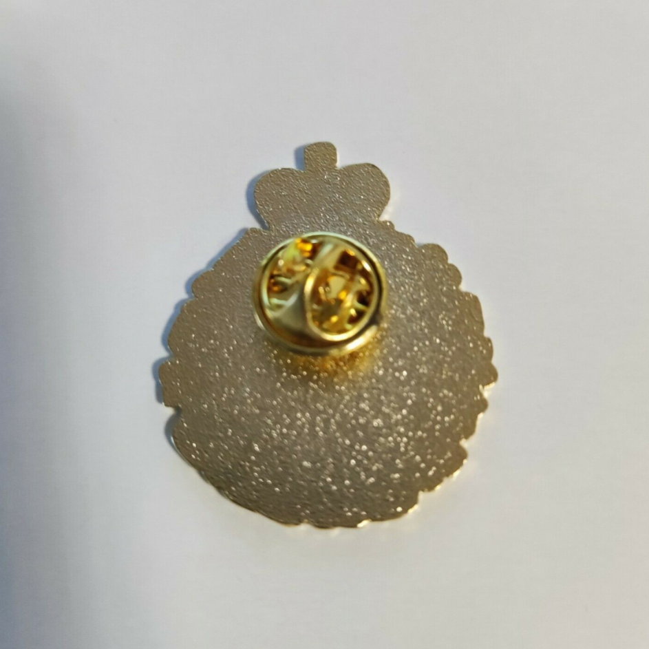 Queen's Platinum Jubilee Memorabilia Lapel Pin Badge Brooch ER II 70